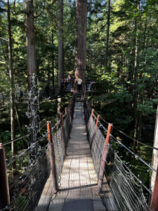 Vancouver Canada North Shore Copalano Suspension Bridge